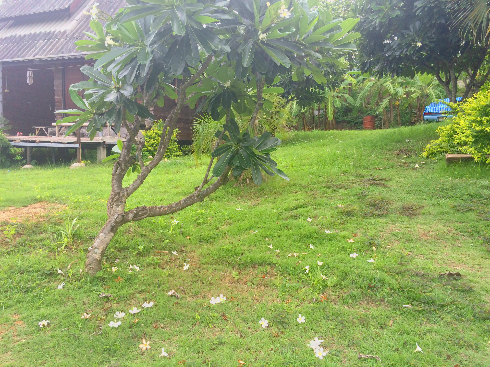 Tony Guesthouse Pai Exterior photo